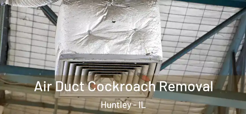  Air Duct Cockroach Removal Huntley - IL