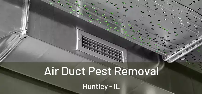 Air Duct Pest Removal Huntley - IL