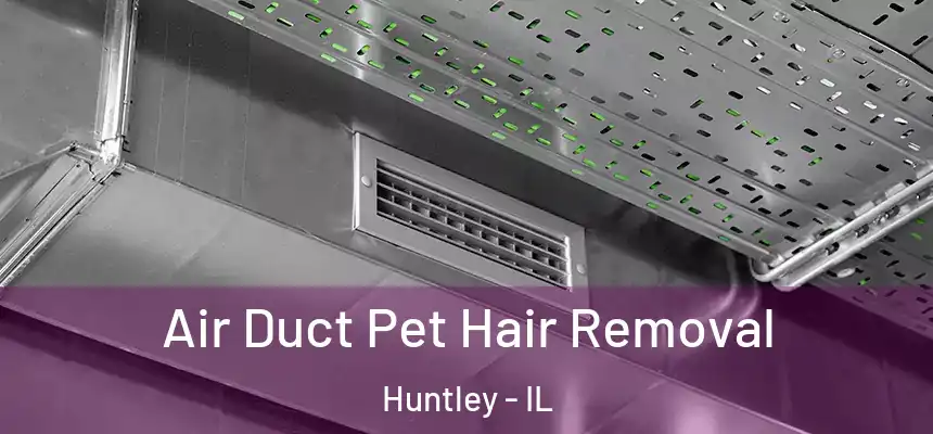 Air Duct Pet Hair Removal Huntley - IL