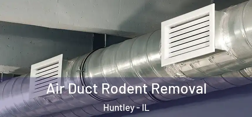  Air Duct Rodent Removal Huntley - IL