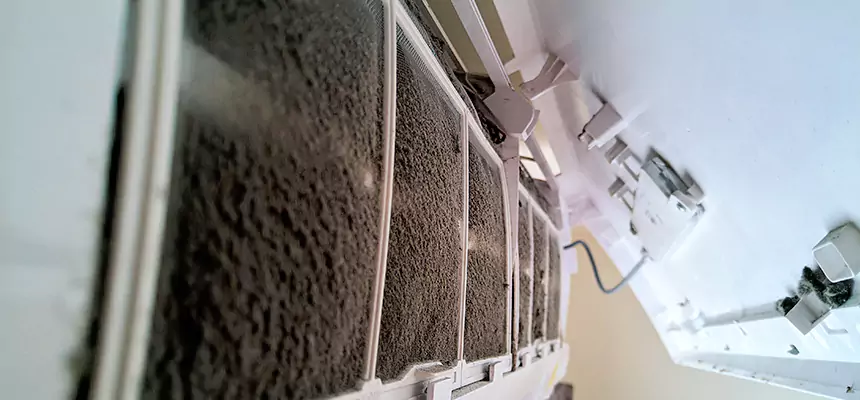 Preventive Air Duct Bacteria Removal in Huntley