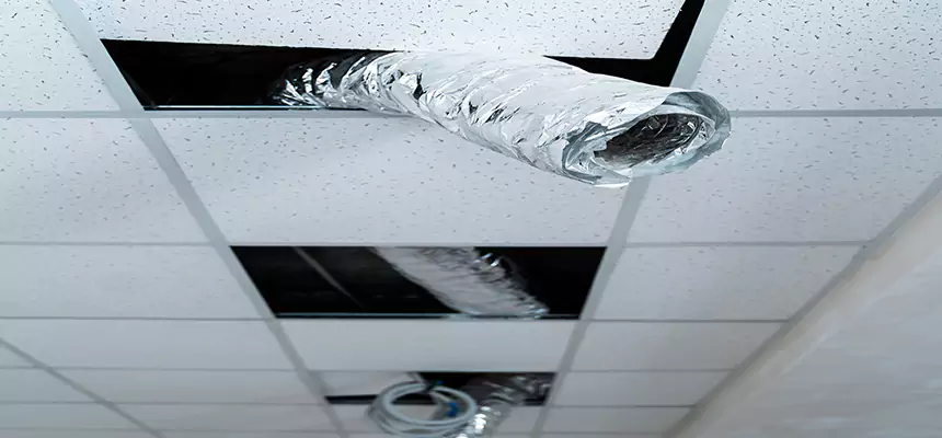 Affordable HVAC Sanitizing After Pest Removal in Huntley