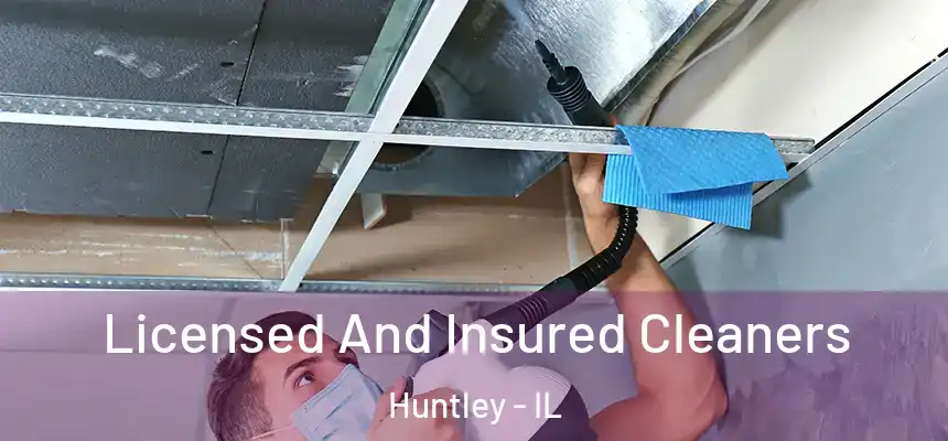  Licensed And Insured Cleaners Huntley - IL