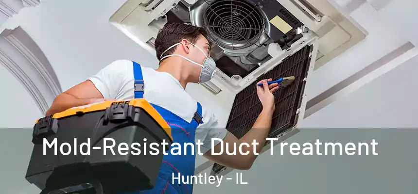 Mold-Resistant Duct Treatment Huntley - IL