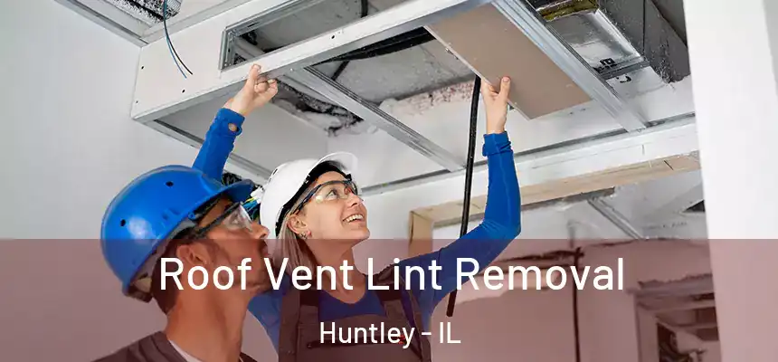  Roof Vent Lint Removal Huntley - IL