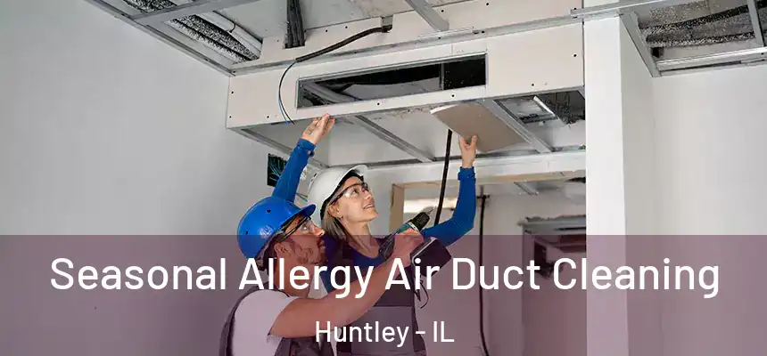 Seasonal Allergy Air Duct Cleaning Huntley - IL
