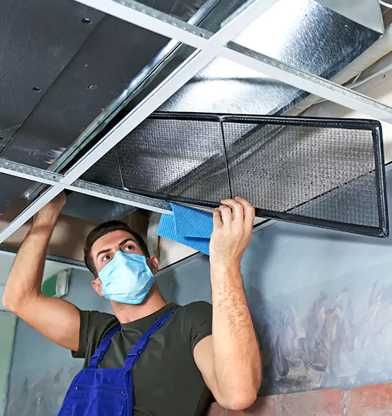 About Air Duct Bacteria Removal in Huntley