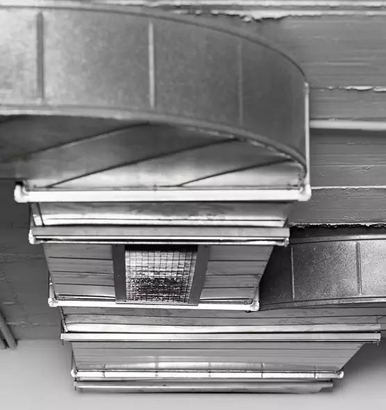 Professional Air Duct Pest Removal in Huntley, IL