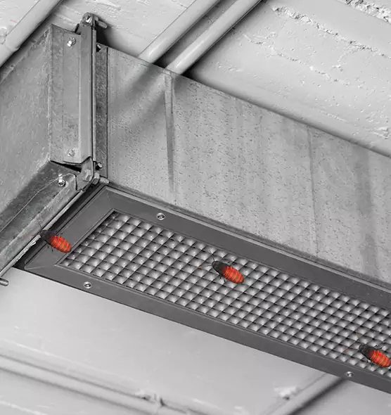Affordable Insect Removal from Air Ducts in Huntley, IL