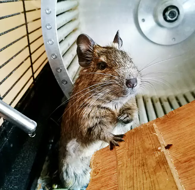 Why Homeowners & Businesses Trust Us Huntley, IL